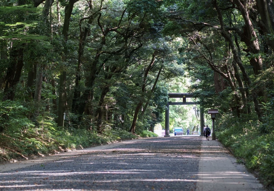 Meiji Shrine torii gate forested path Tokyo