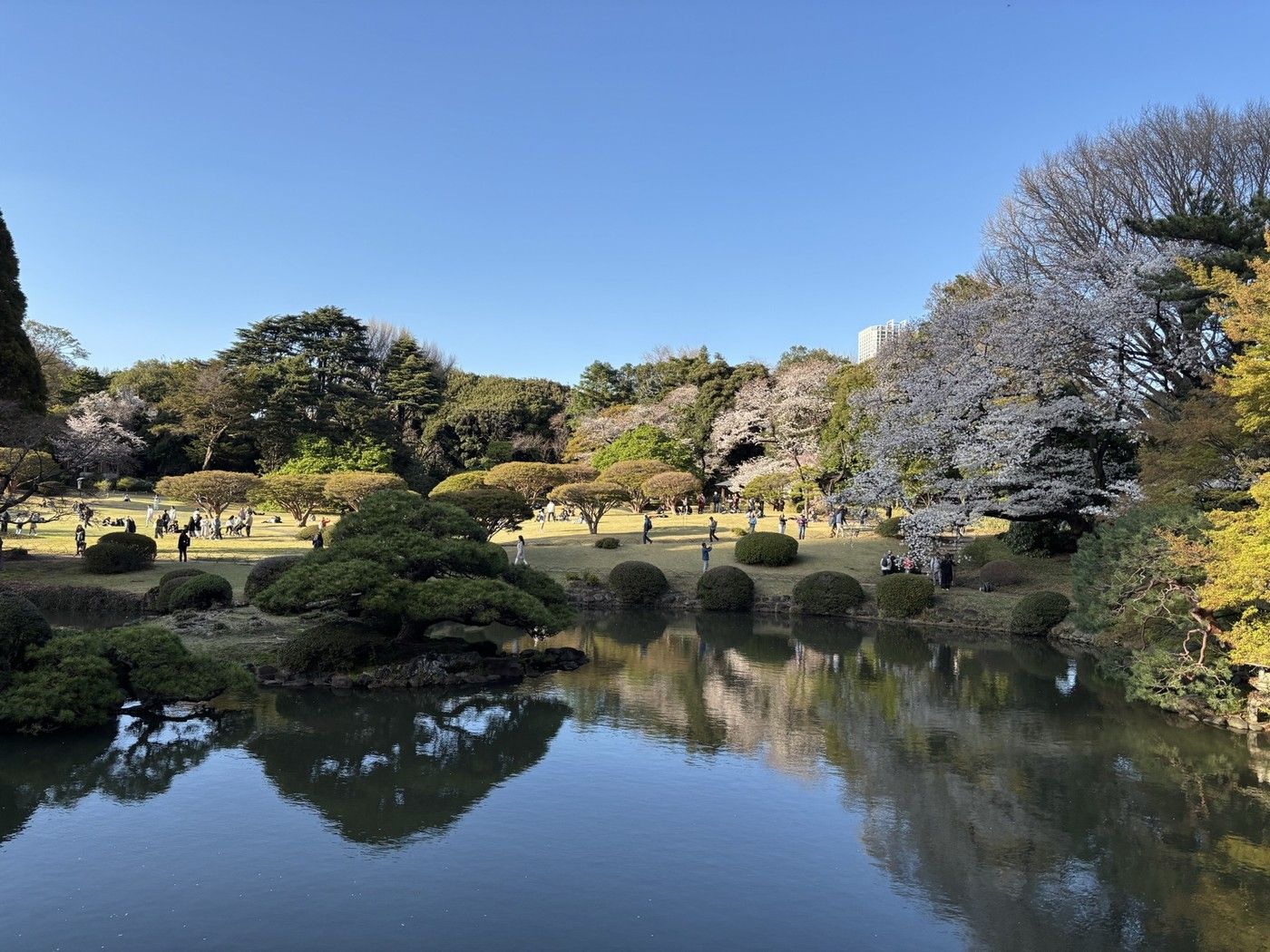 Shinjuku Gyoen national garden tranquil path Tokyo