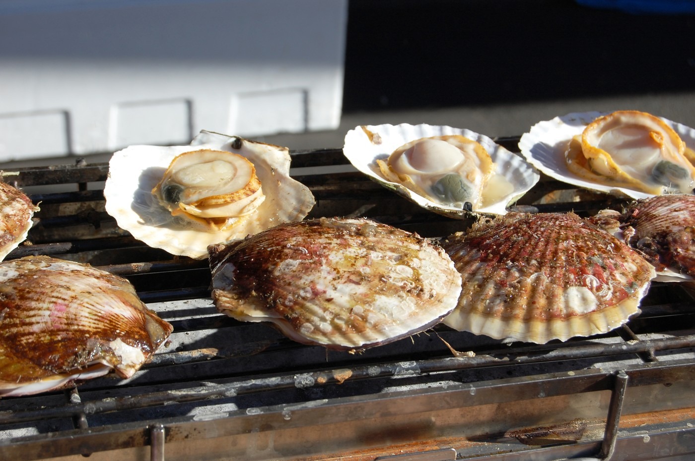 Tsukiji Outer Market – Tokyo Food Tour Destination